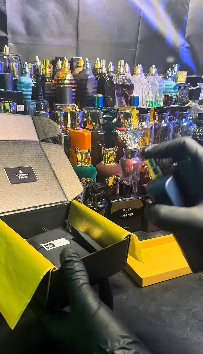 Film & Feature My Order on TikTok