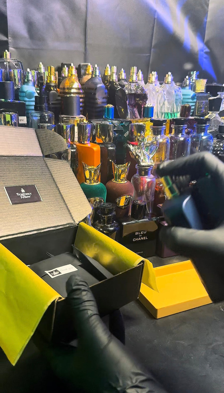 Film & Feature My Order on TikTok